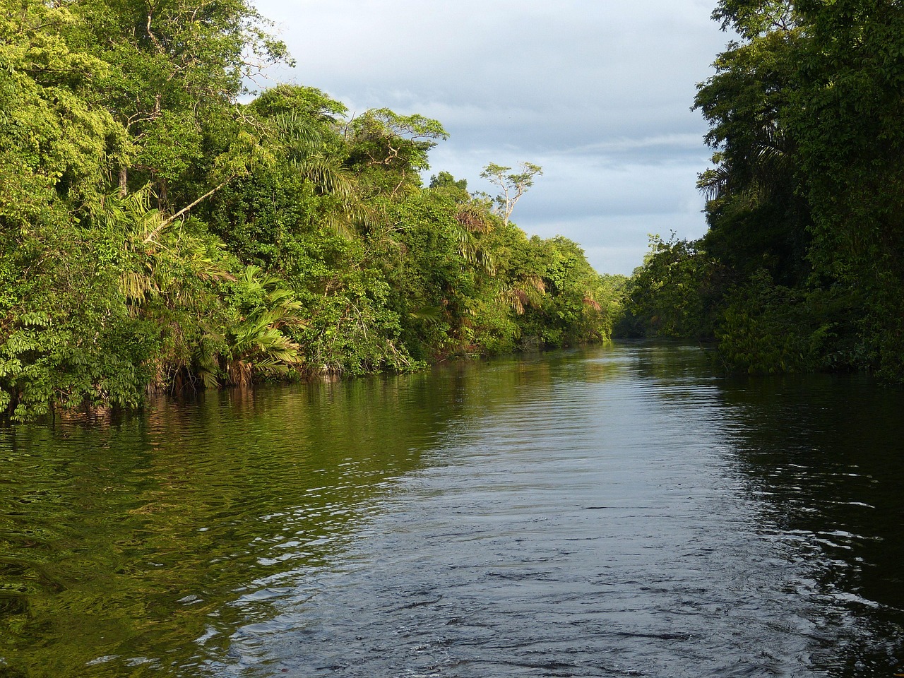 Central America