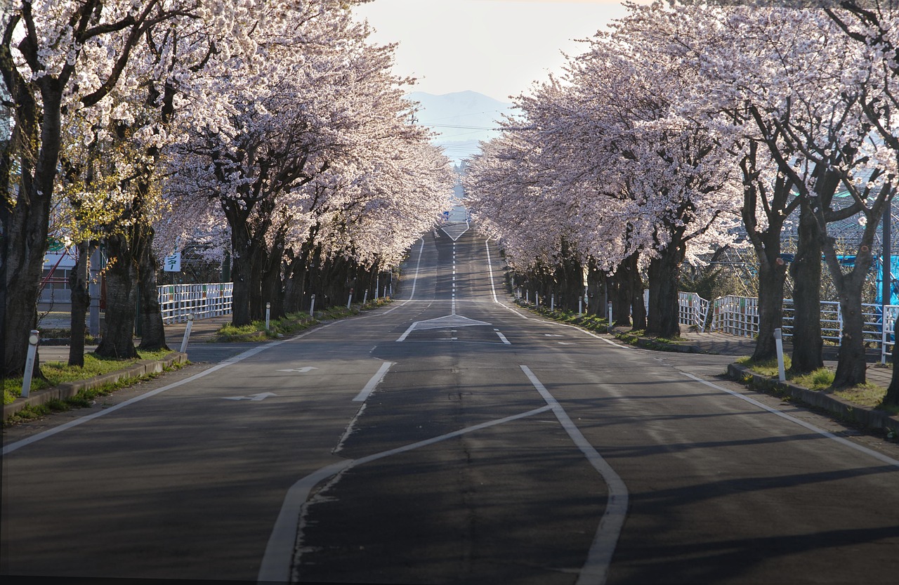Japan Spring 2026